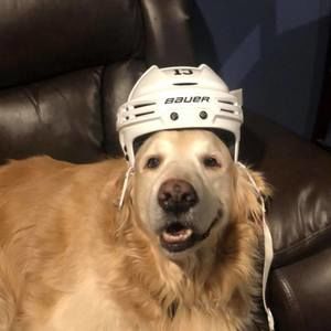 Meet your Posher, Robert